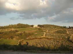 view of green fields in tuscany