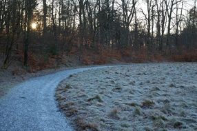 frozen field and road along the forest