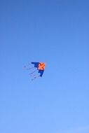 multicolored kite