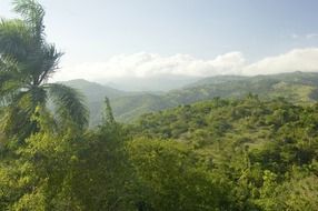 green landscape in dominican Republic