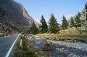 Valley near the forest and mountains