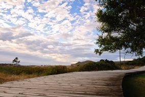 walk path