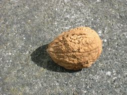 unopened walnut