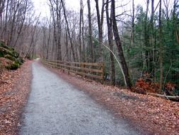 autumn trail in the countryside in Connecticut