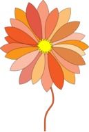 painted orange daisy