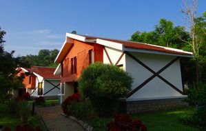 cottage forest holiday