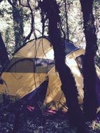 tent of travelers in the forest