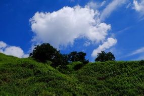 green landscape in japan