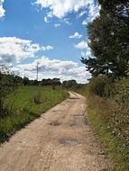 dirt road in the puddles near the forest