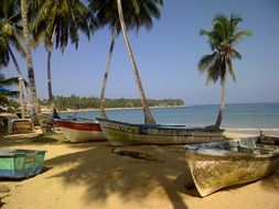 boats on the tropical beach