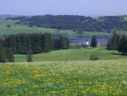 panoramic view of a flower meadow in Rottachsee