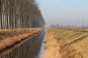 narrow long stream