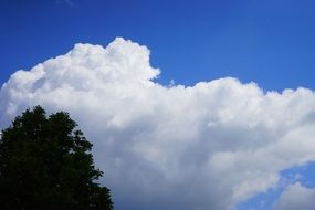 Tree outline sky blue clouds view