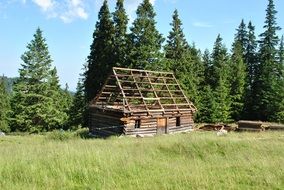 shepherd's hut on a mountain
