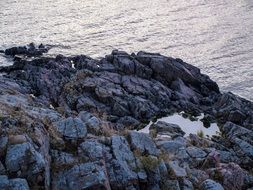 baltic sea rocky coast