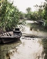 extraordinarily beautiful wood river
