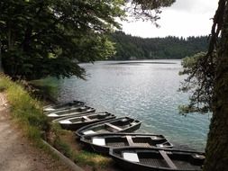 france lake water forest trees