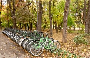 row of bicycles in park at fall