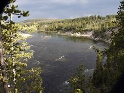 scenic river in the yellowstone national park