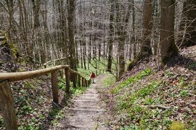 reichenbach stairs