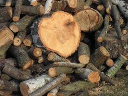 firewood in storage