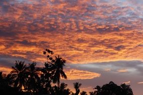 yellow clouds in the blue sky at dusk