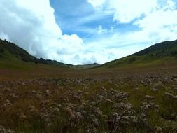 panoramic views of the savannah on background cloudy sky