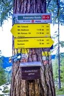 tree route signs in the Alps