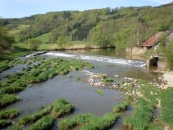 Coastal area on the river