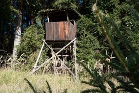 wooden hunter seat in a forest