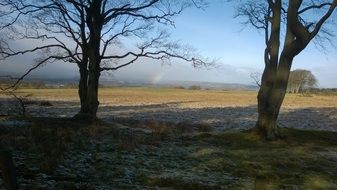 frosty trees in winter landscape, uk, Scotland, bathgate hills