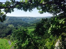 aerial view of the green forest and the Danube River