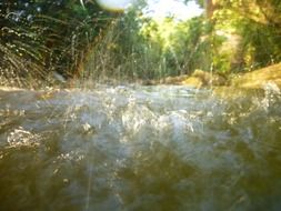 Close-up of water splashes