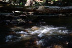 Water stream in spring