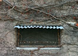 a small window at the winery