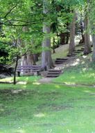 Picture of he benches in a forest