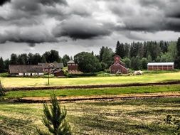 countryside milieu field