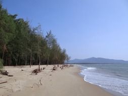 white sand beach and a forest next to the Arabian Sea, india, karwar