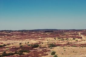 desert sand