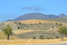 mountain in spain with trees landscape