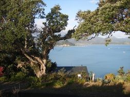 scenic spots with green trees by the lake