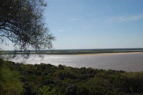 paranÃ¡ river