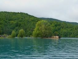 green trees in turquoise lake water