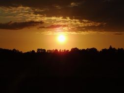 sun in the sunset over the trees