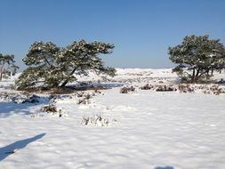 winter landscape in countryside in holland