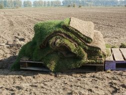 pile of sod rolls on field