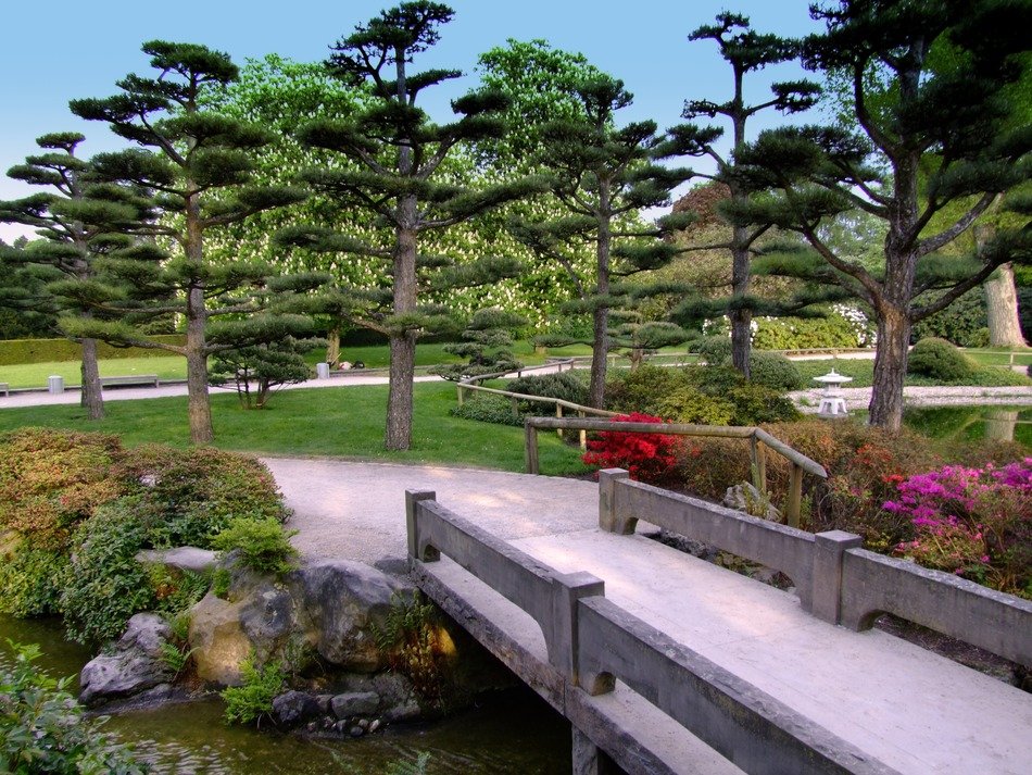 Beautiful Japanese park with colorful plants in DÃ¼sseldorf, Germany