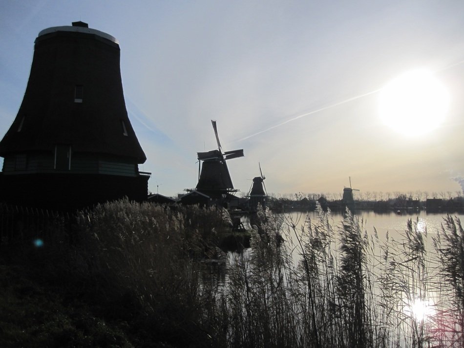 mills on the shore in the evening