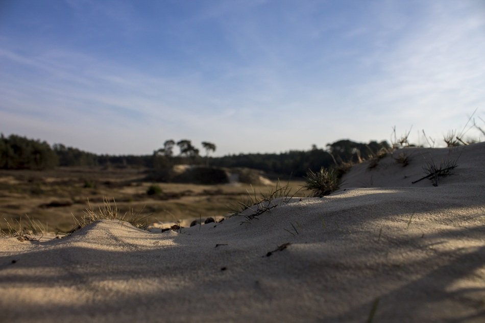 sand view in Netherlands