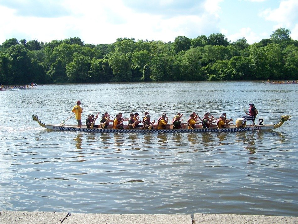 rowing people in the rowboat near the coast with plants